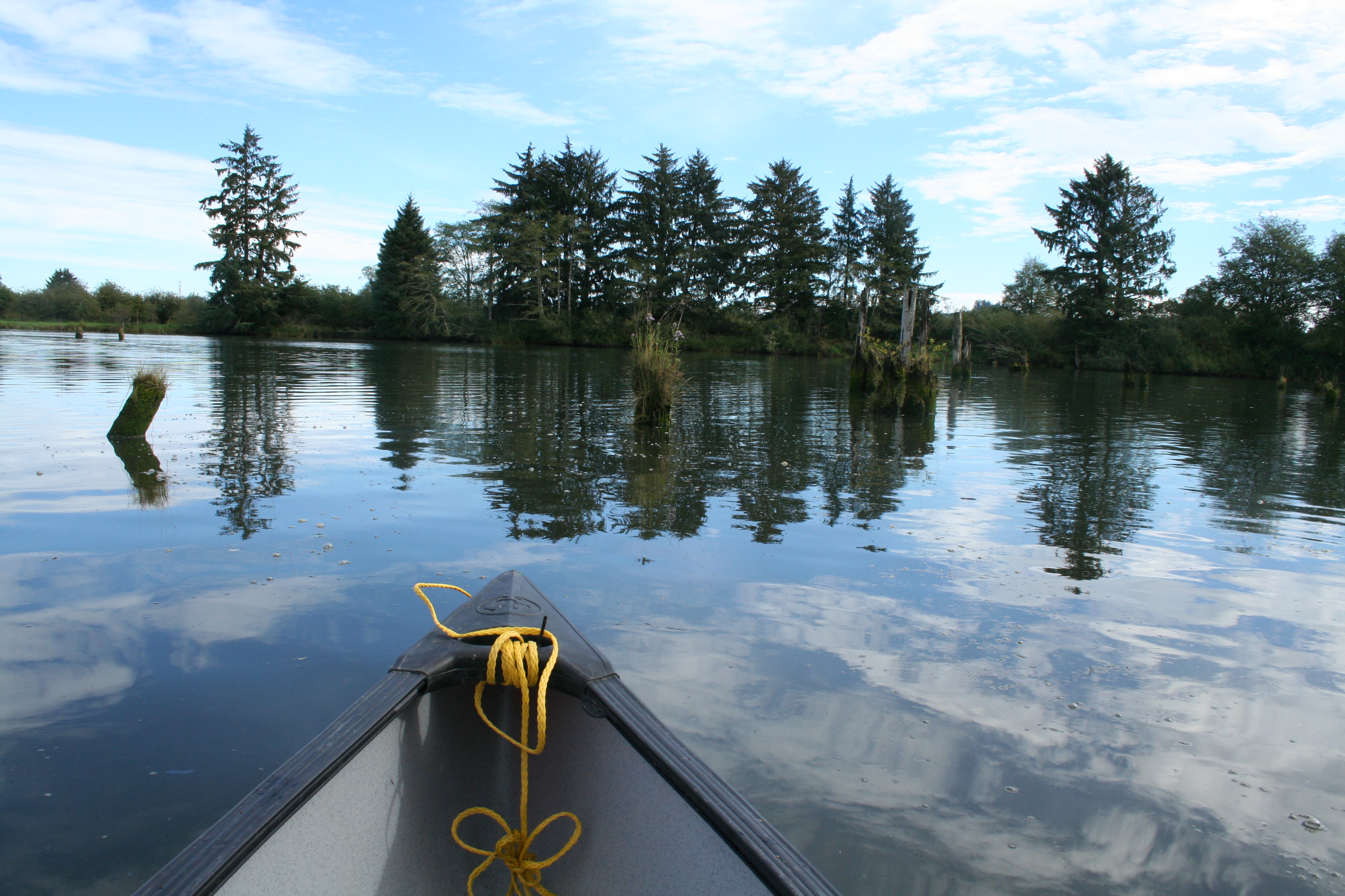 Canoe in water Canoe in water