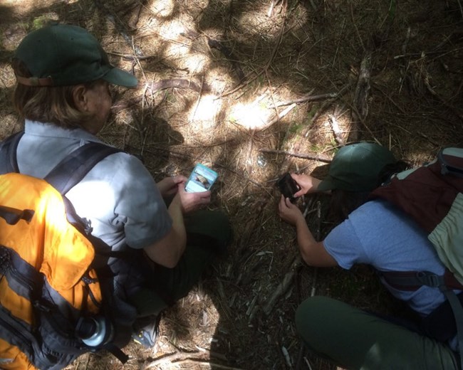 Park ranger and intern take photos of animal signs