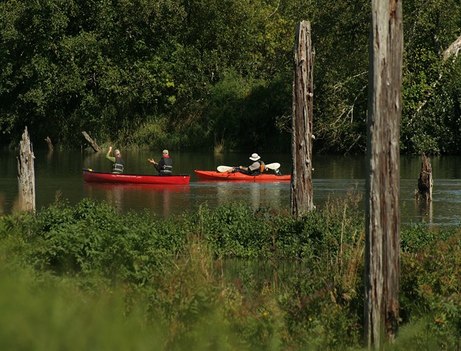 Visitors paddling in the Lewis & Clark River
