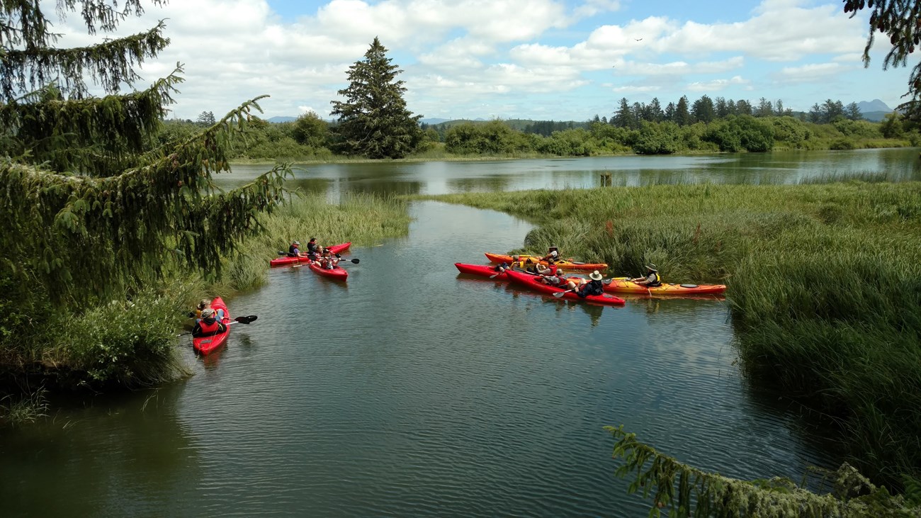 A group of people in warm-colored tandem and single kayaks pause and cluster along a narrow reed-bordered spur of the Lewis and Clark River.