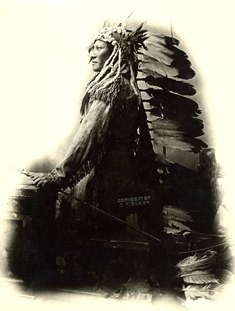 Side portrait of Rain-in-the-Face with headdress.