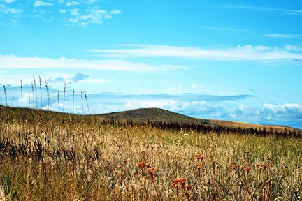 Sharpshooter Ridge