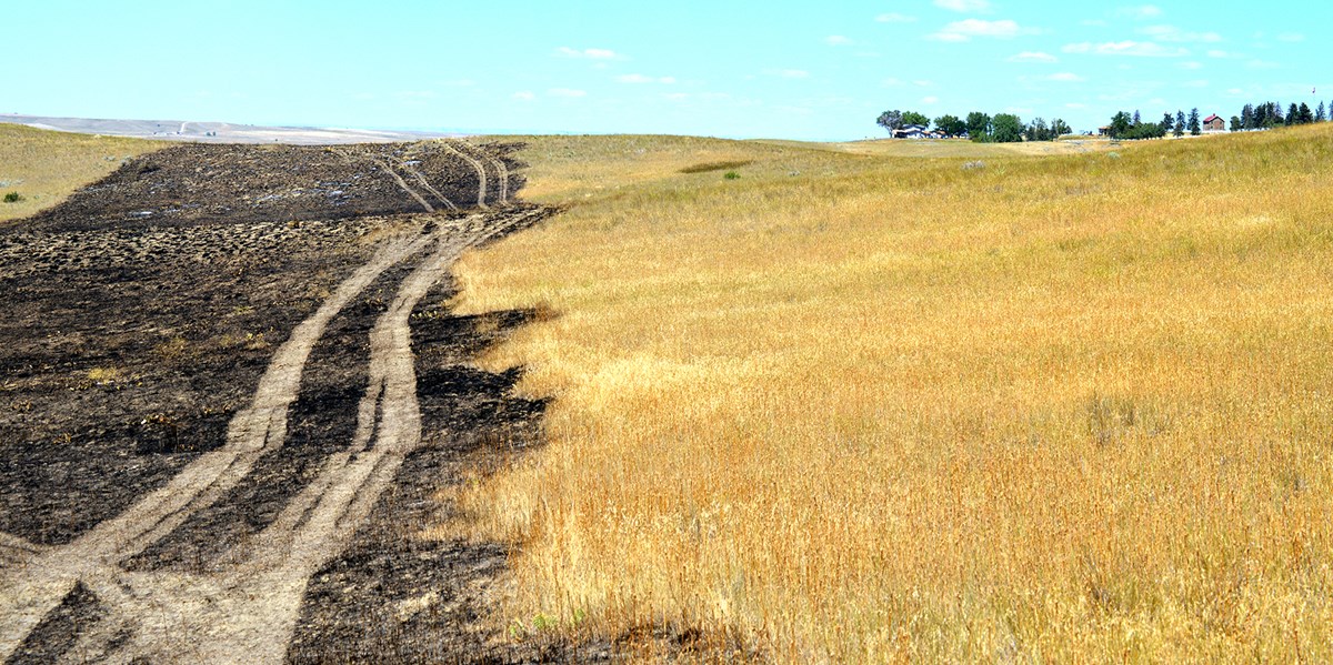Medicine Tail Coulee Fire Medicine Tail Coulee Fire