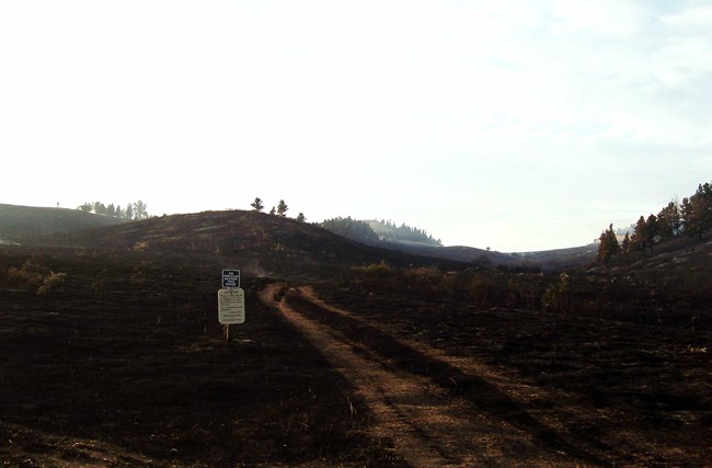 The Rosebud fire that occurred in 1983.