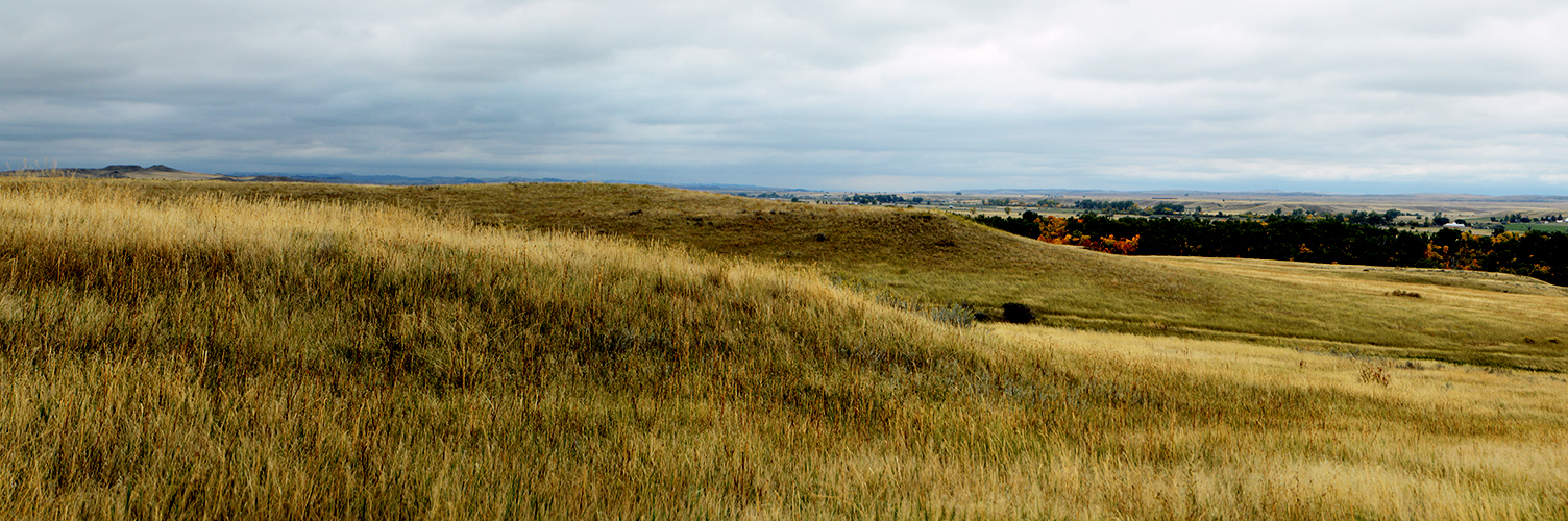 Clouds Pano A panoramo of grasslands and clouds