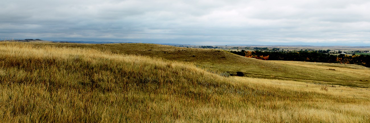Panorama photograph showing brown grass under a cloudy winter sky.