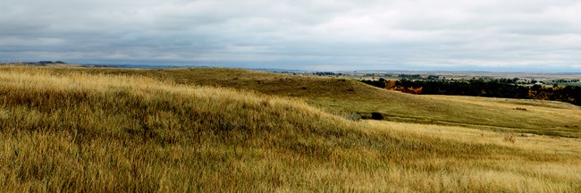 A pano of grasslands and clouds