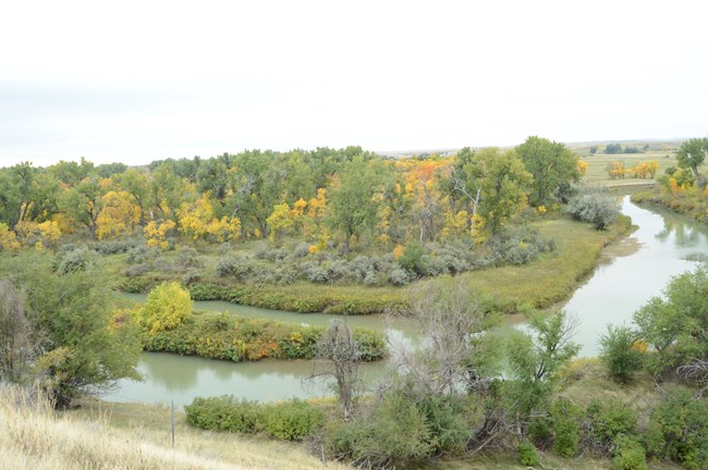 River surrounded by green and yellow trees