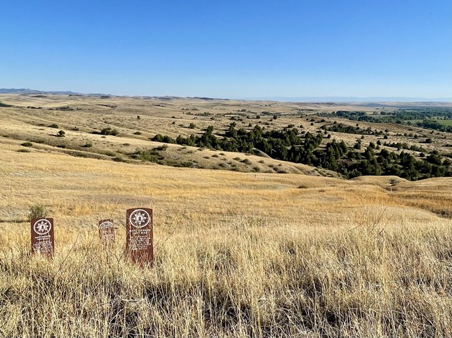 Three red warrior markers stand erect in a field of dry grass.
