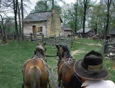 Cabin and horses Cabin and horses