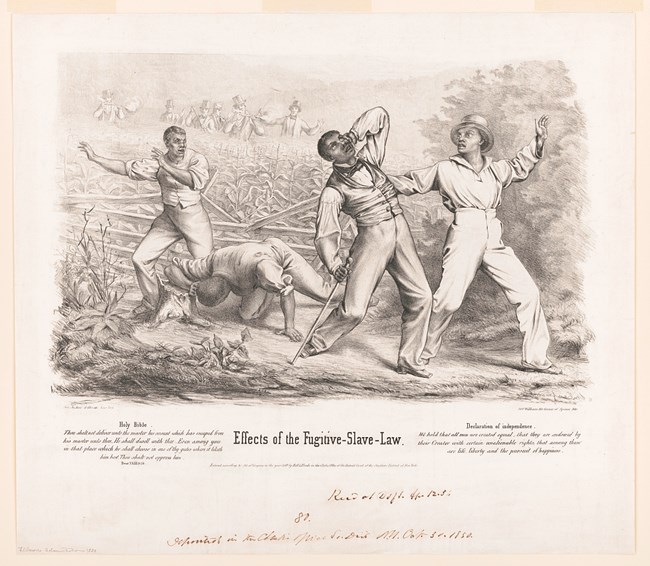 Engraving of a group of four black men, possibly freedmen, being ambushed by a posse of armed white men in a cornfield. Quotes from the Bible and the Declaration of Independence are listed at the bottom.