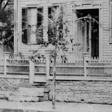 A Small tree, maybe ten feet tall, growing out of sidewalk in front of Lincoln Home