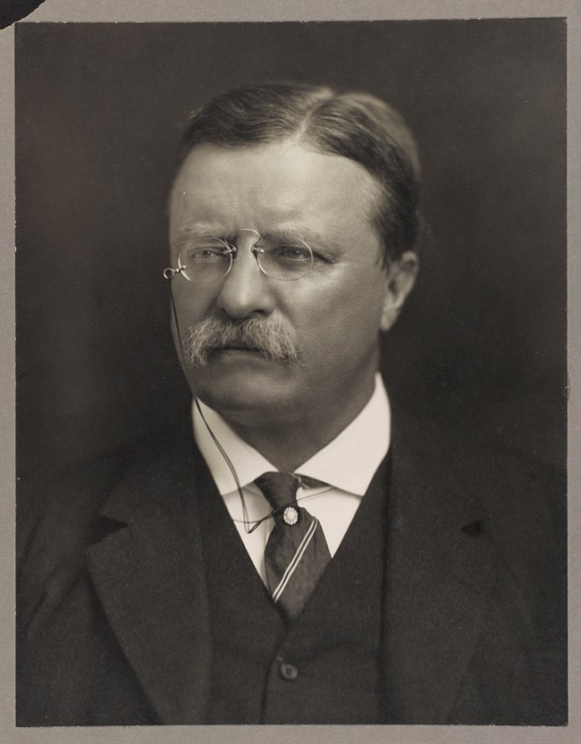 Theodore Roosevelt: middle aged man with short combed hair parted in the middle and a lighter, coarse mustache. Wearing small round spectacles with a thin silver rim on a thin black cord, attached to the left lens that runs down to tuck under right collar