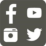 grey box with 4 social media icons