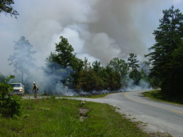 Prescribed Fire