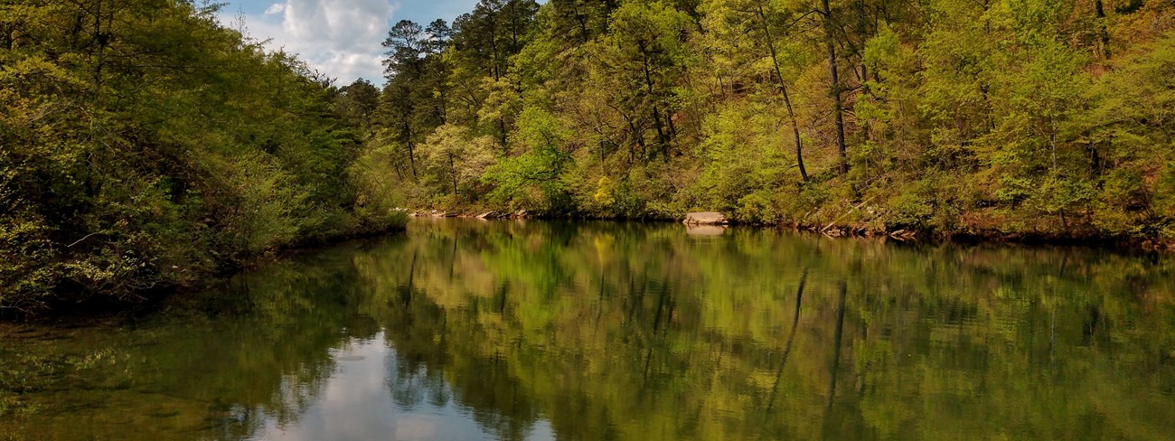 A calm pool on the Little River at Canyon Mouth Park.