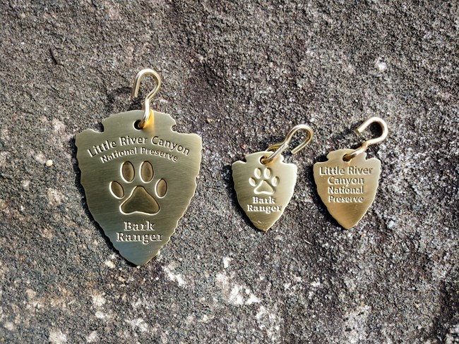 LIRI BARK Ranger Tags