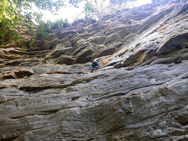 Rockclimber on Grey Wall