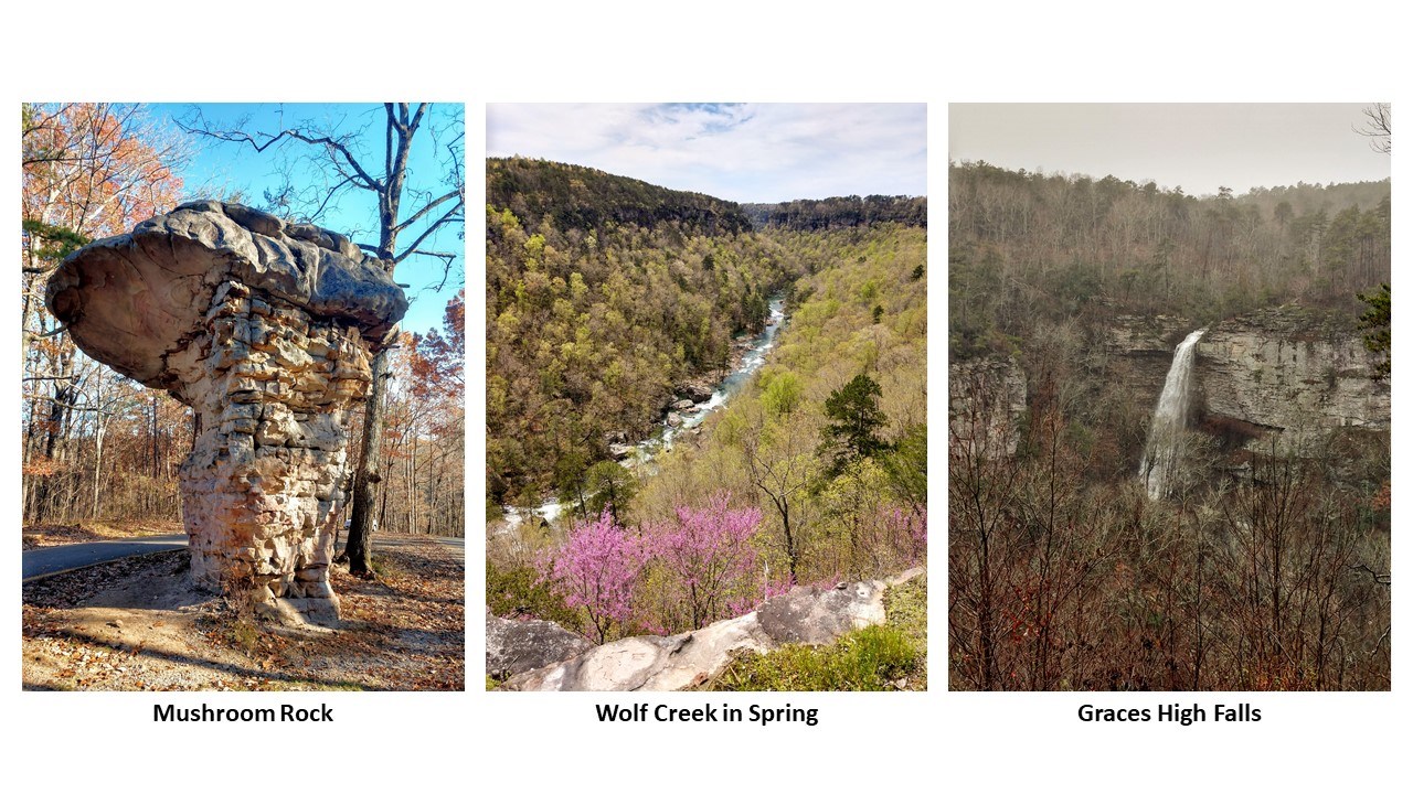 Three pictures - the first of a mushroom-shaped sandstone rock formation, the second of a springtime view of the canyon with pink redbud blooms below, and the third of a waterfall pouring off the canyon edge.