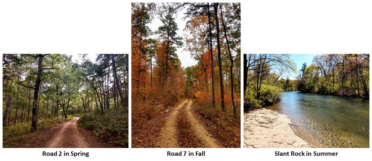 Two images of dirt roads running through the woods, the third image is of a gentle bend in the river.