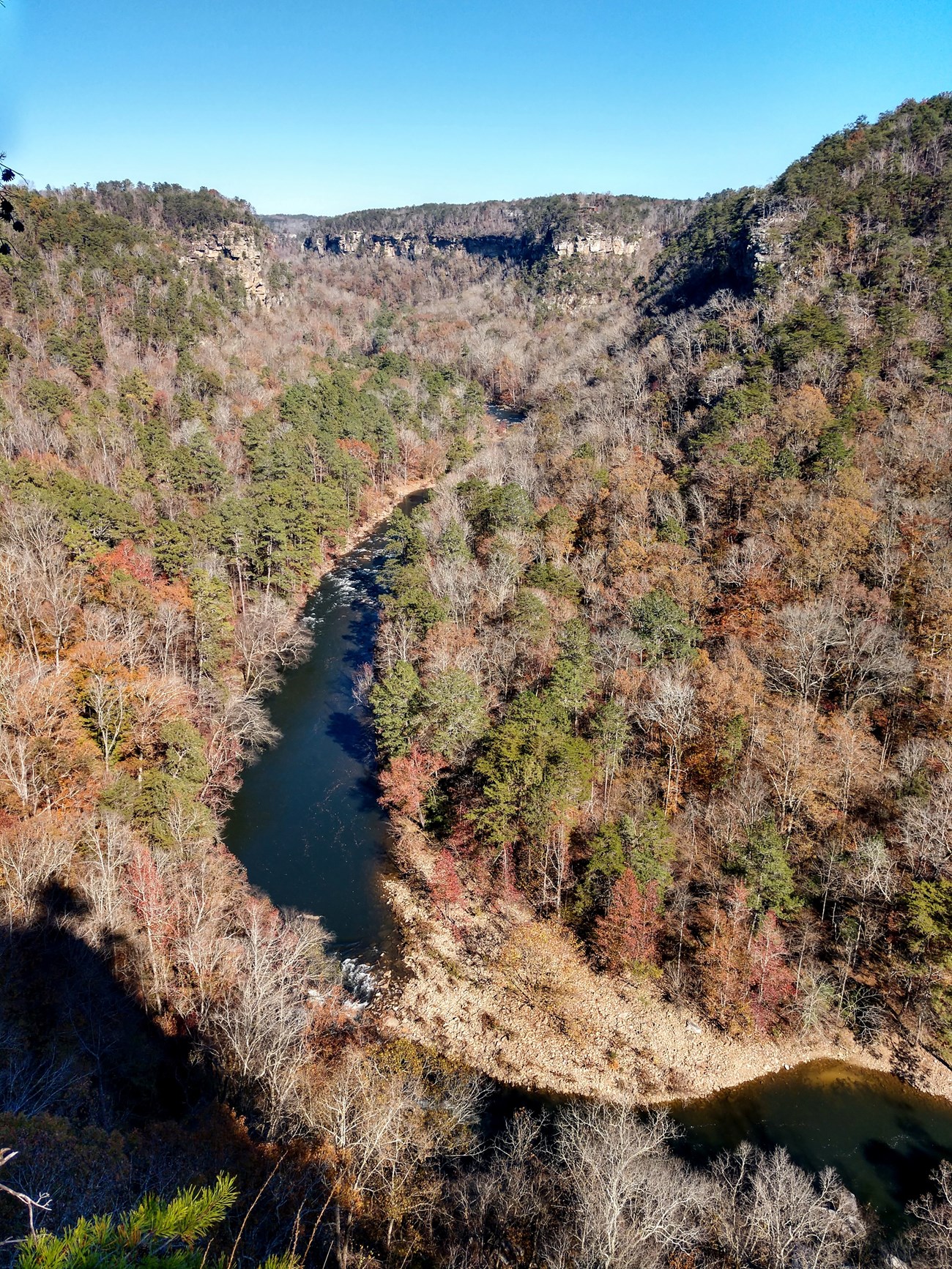 Little River Canyon with evergreens and the last oranges and browns of Fall color among mostly bare deciduous trees.