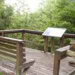 Grace's High Falls Overlook