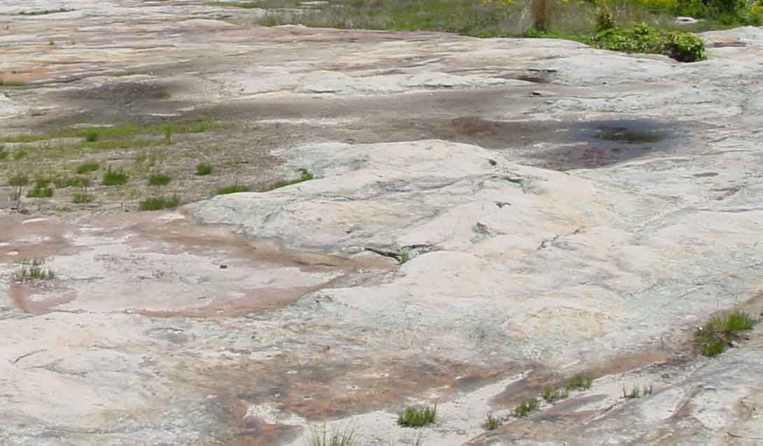 lynn rock glades