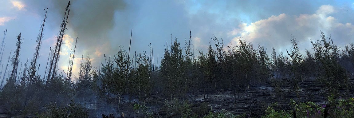 Tree line smolders from active fire in Dome Creek July 2018.