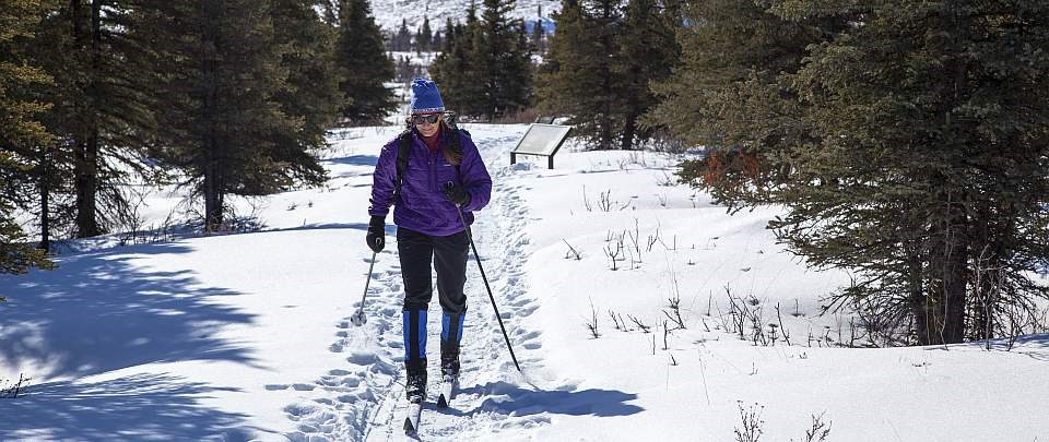 a woman on cross country skis heads up a snowy trail surrounded by trees