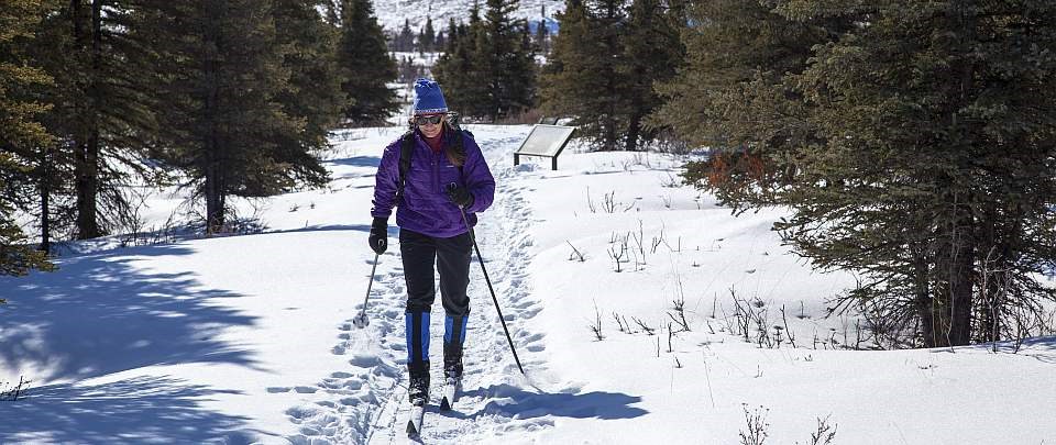 DENA Skiing a woman on cross country skis heads up a snowy trail surrounded by trees