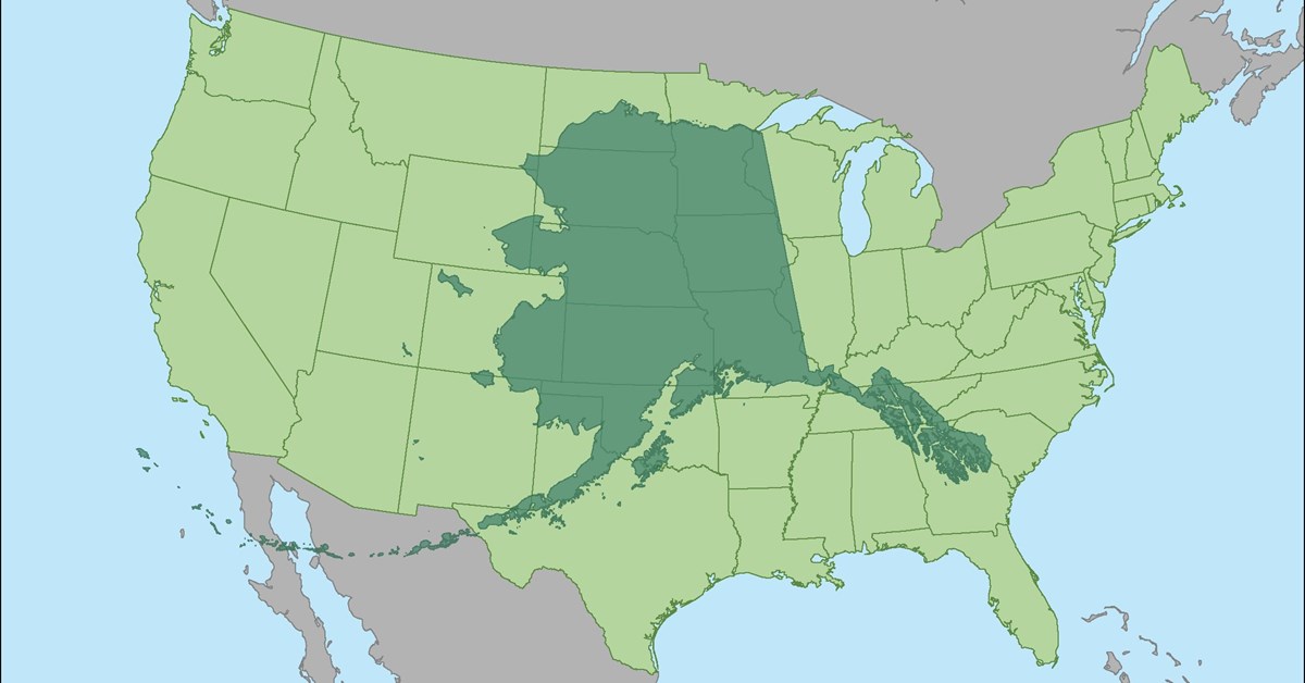the state of Alaska superimposed on a map of the continental US to show its vast size