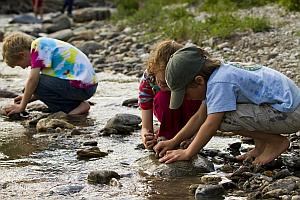 Kids play in a river during one of Denali's Kids Camps