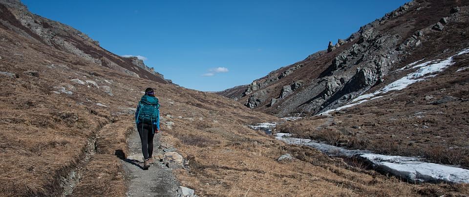 a hiker walks the Savage River loop in Denali NP