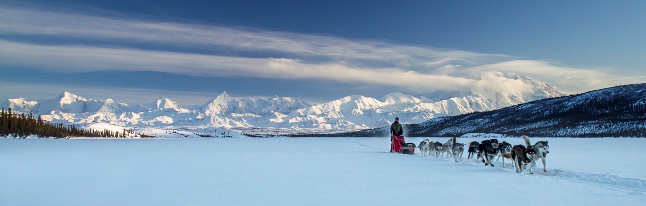 a dog mushing team crosses a snowy Wonder Lake with views of Denali in the background