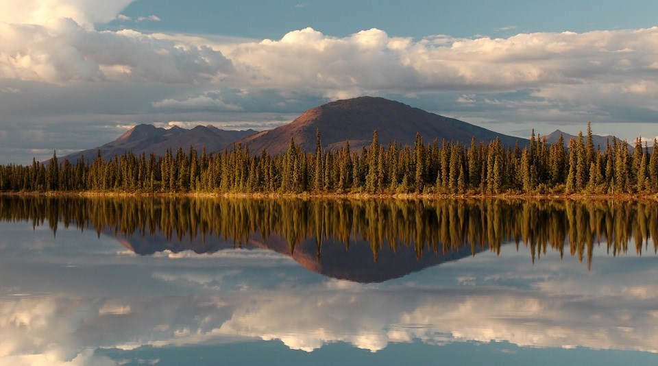 puffy white clouds, mountains, and golden-hued spruce trees reflect in calm blue water