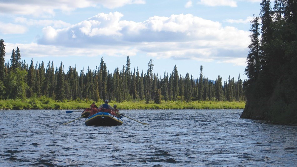 Two inflatable rafts with paddlers float down a spruce-lined river.