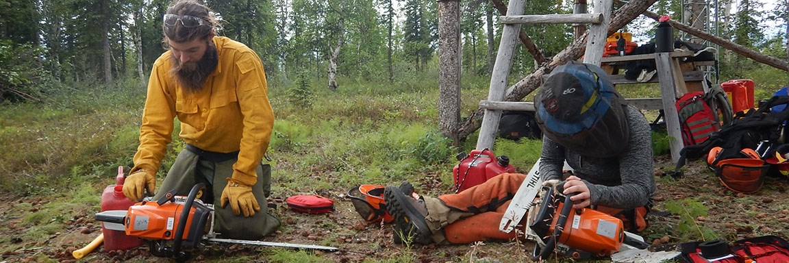 chainsaw 2 Two fire staff personnel clean, tune and sharpen chainsaws near a cabin.