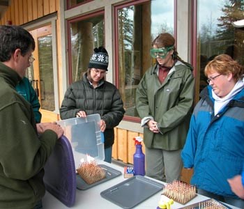 Fire Triangle Testing Testing the fire triangle during a Fire In Alaska class at Denali NP, 2005