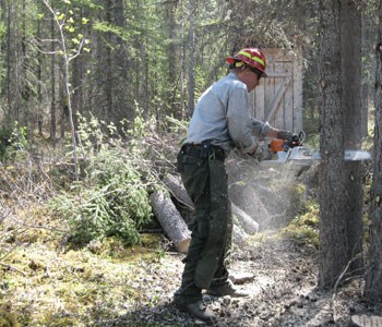 Removing fire fuel Creating defensible space around structures before fires ignite, Yukon-Charley Rivers NP 2010
