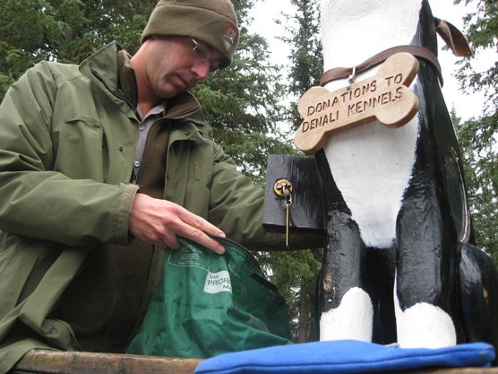 A park ranger collects money from a donation box shaped like a sled dog at the Denali park kennels.