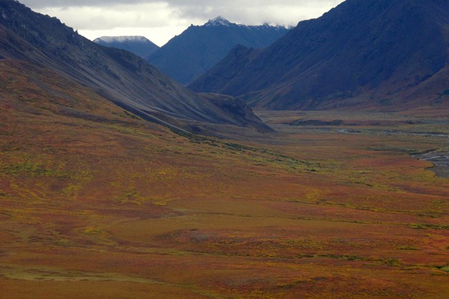 An image of a narrow river valley with mountains in the backgroup. The tundra is in fall colors.