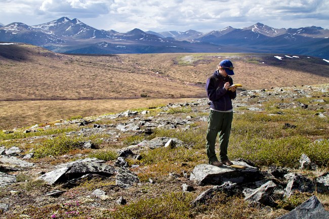 a woman standing in a field of boulders with enormous mountains in the distance bends her head over a yellow handheld device.
