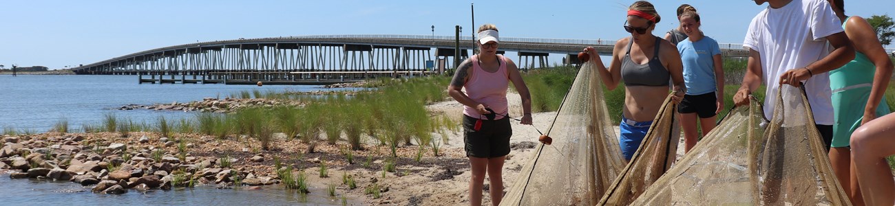 A group pulls a saining net from the water onto a sandy beach.