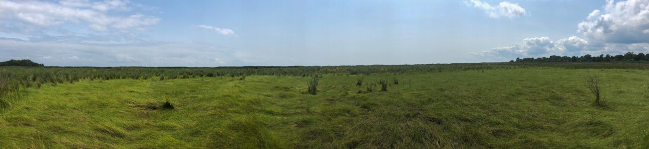 A recently harvested hay field.