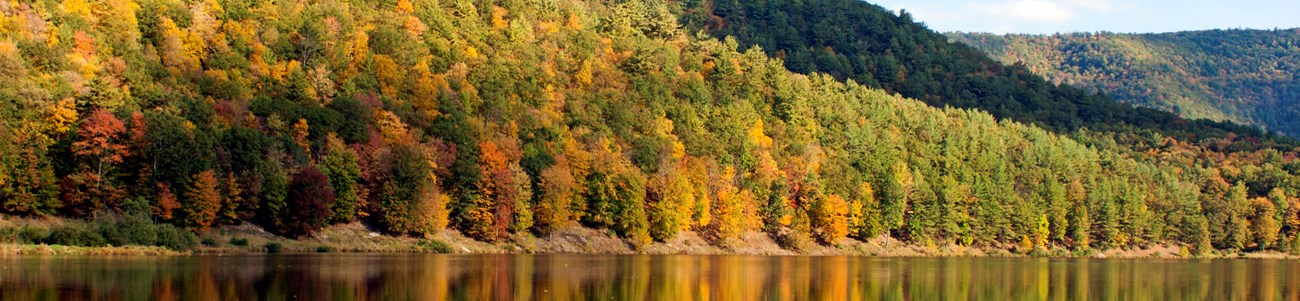 A forest with change leaves on the edge of a lake during fall.