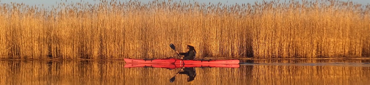 25 Basic Info Header A lone kayaker paddles next to talk marsh grass.