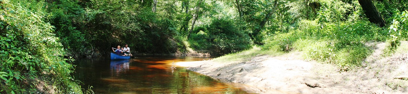 Two people paddle a canoe through a small stream toward the camera.