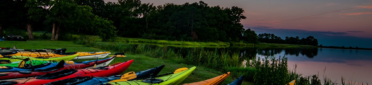 Several colorful kayaks lined up along the water at dawn.