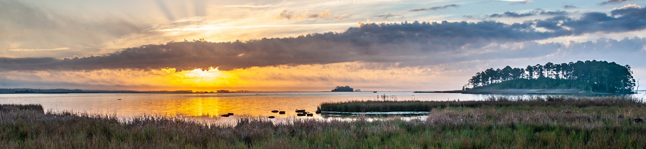 52 Laws & Policies Header The sun breaks the horizon at dawn over open water and a marsh.