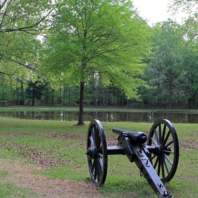Artillery at Bloody Pond